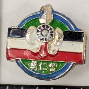 Vintage Taiwan Boy Scouts Badge Pin ROC Flag Colors Youth Scout Lapel Enamel